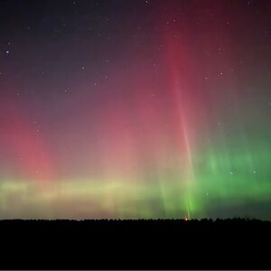 Meet your Posher, Jen